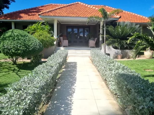 Camino de jardín con setos recortados, ejemplo de paisajismo de Jardinería Hernández